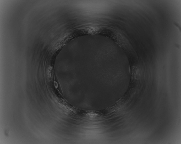 X0000101450650200807141245