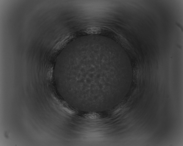 X0000101450652200807141245