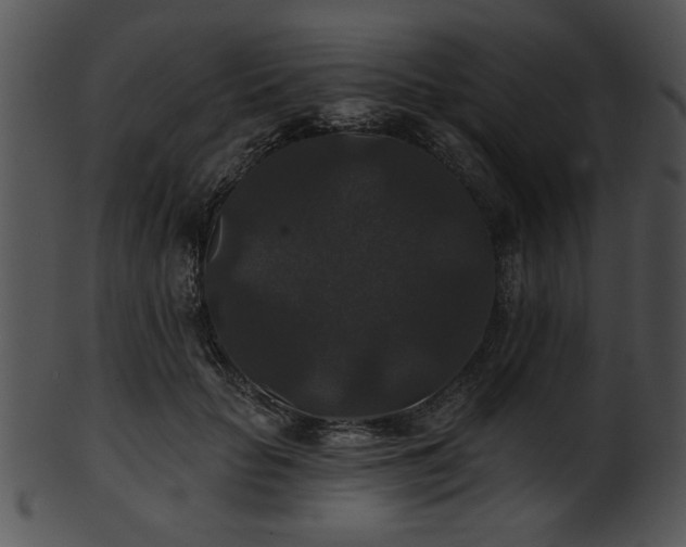 X0000101450653200807141245