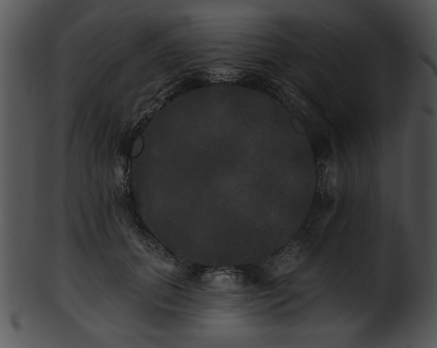 X0000101450655200807141245