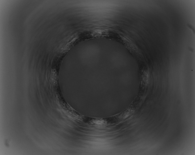 X0000101450659200807141245