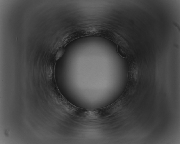 X0000101450660200807141245