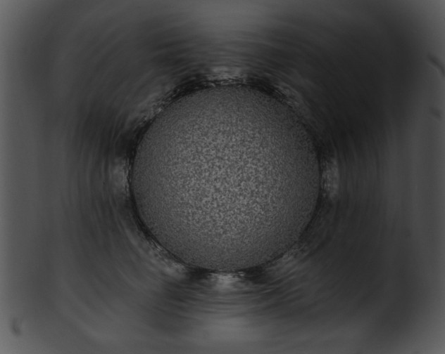 X0000101450662200807141245