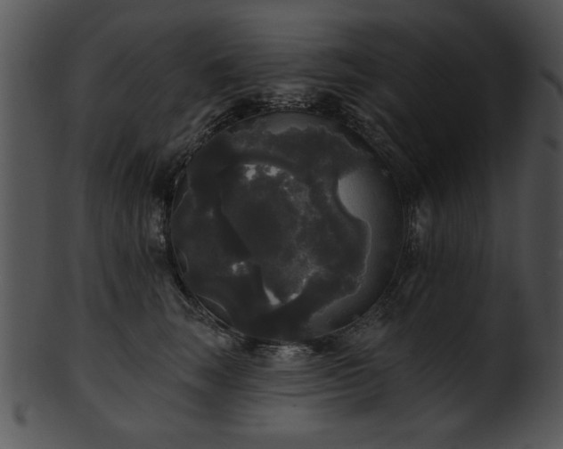 X0000101450663200807141245