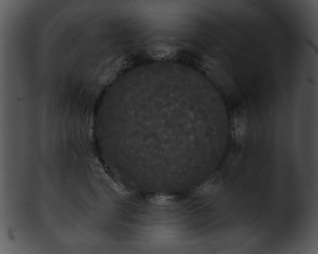 X0000101450664200807141245