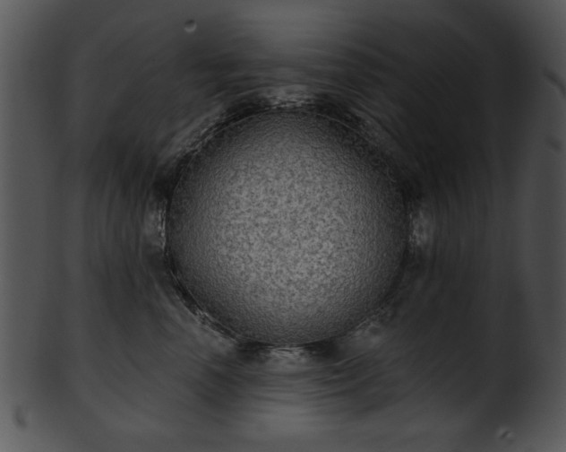 X0000101450666200807141245