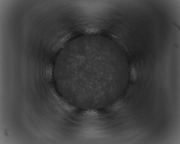 X0000101450668200807141245