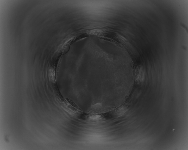 X0000101450669200807141245