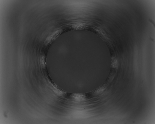 X0000101450670200807141245