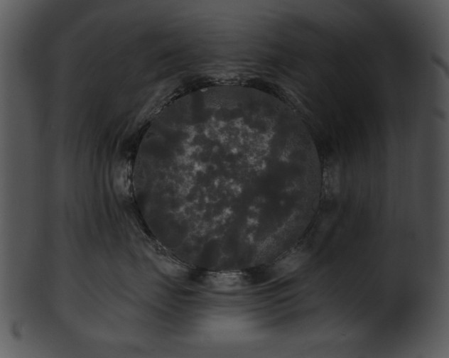 X0000101450671200807141245