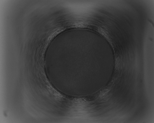 X0000101450673200807141244