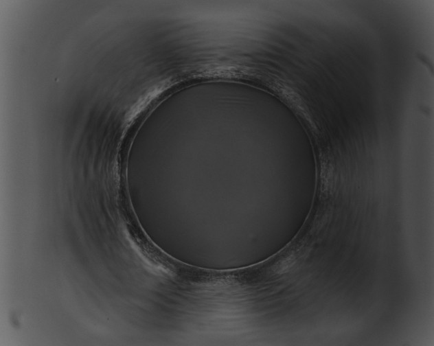 X0000101450674200807141244