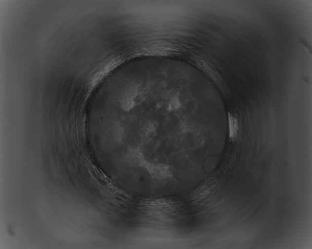 X0000101450675200807141244