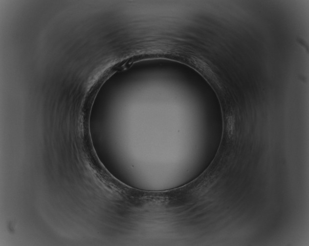 X0000101450676200807141244