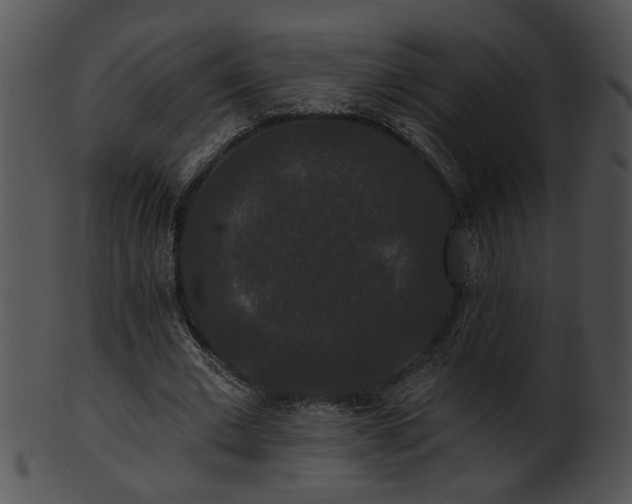 X0000101450677200807141244