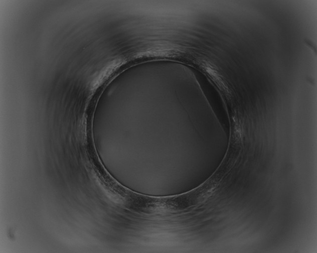 X0000101450678200807141244