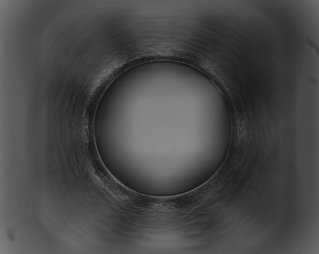 X0000101450680200807141244