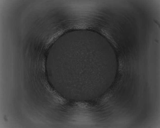 X0000101450681200807141244