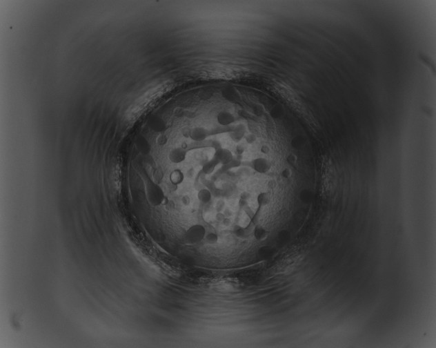 X0000101450683200807141244