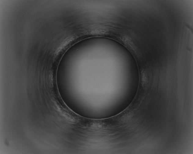 X0000101450684200807141244