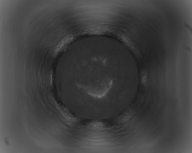 X0000101450685200807141244