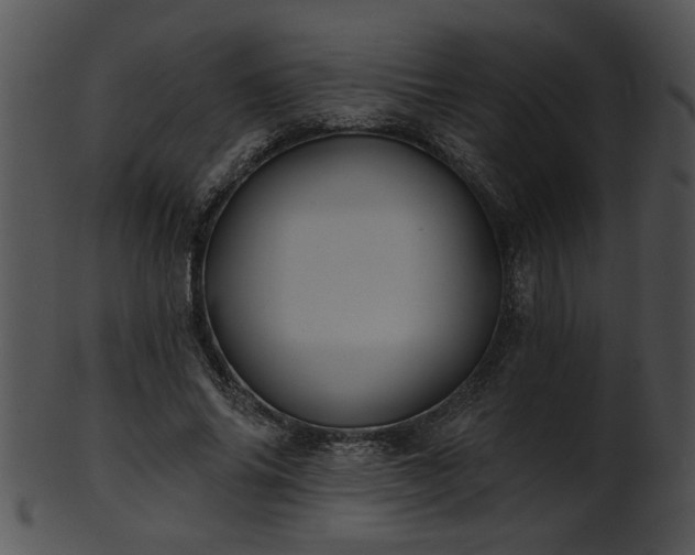 X0000101450686200807141244