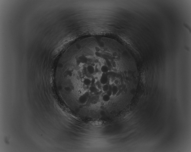 X0000101450687200807141244