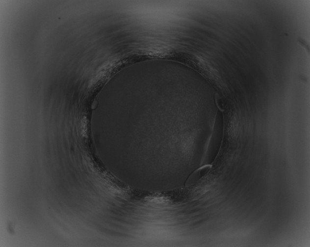 X0000101450689200807141244