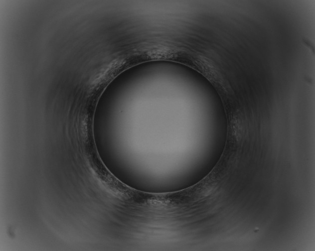 X0000101450690200807141244