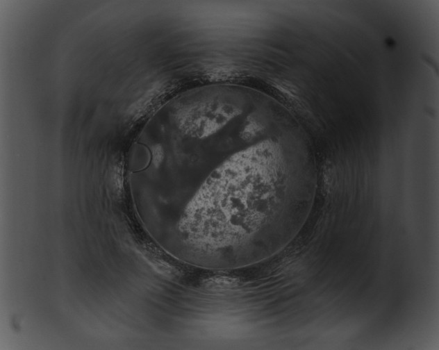 X0000101450691200807141244