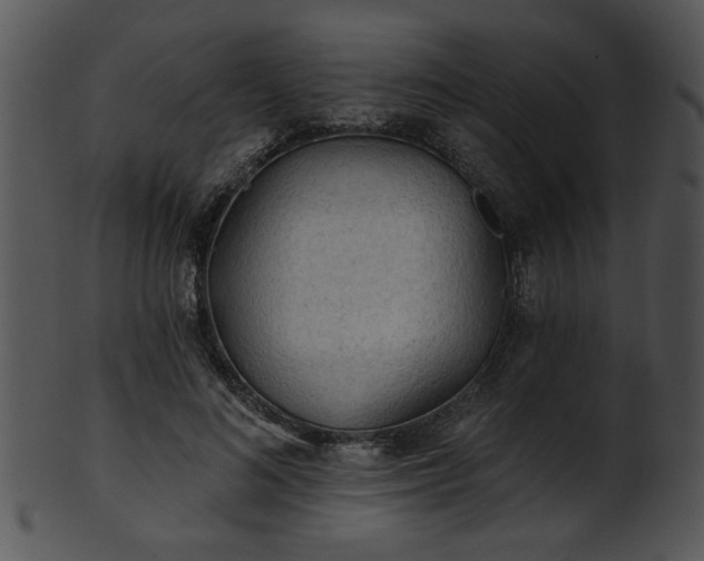 X0000101450692200807141244