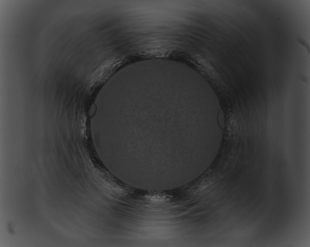 X0000101450693200807141244