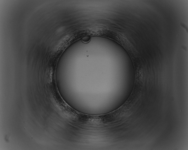 X0000101450694200807141244