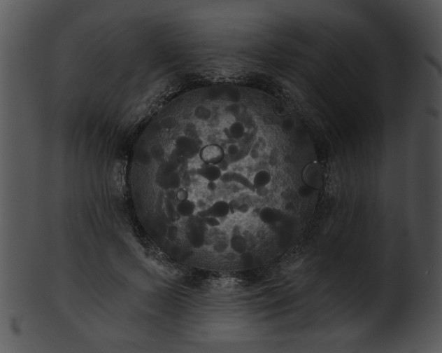 X0000101450695200807141244