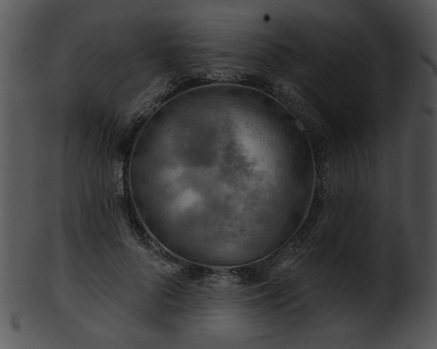 X0000101450696200807141244