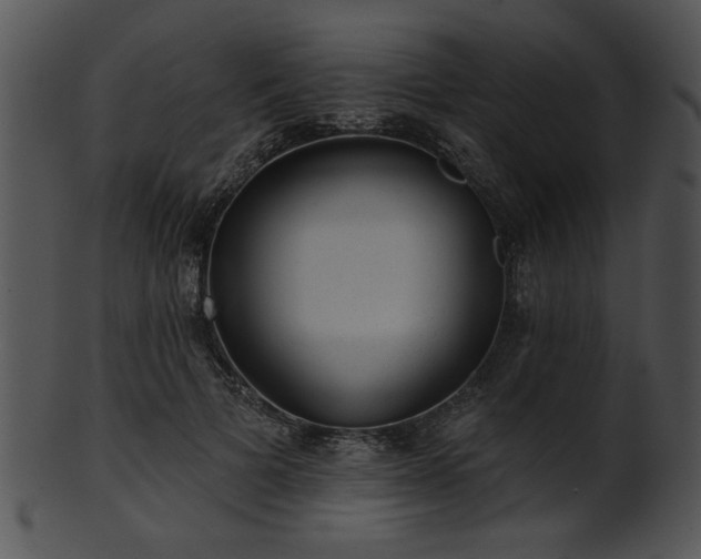 X0000101450697200807141244