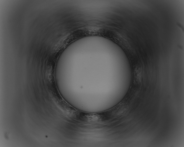 X0000101450698200807141244