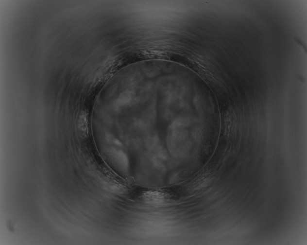 X0000101450699200807141244