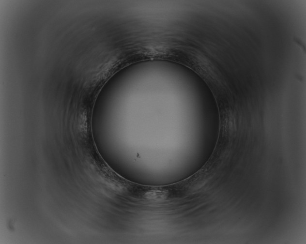 X0000101450700200807141244