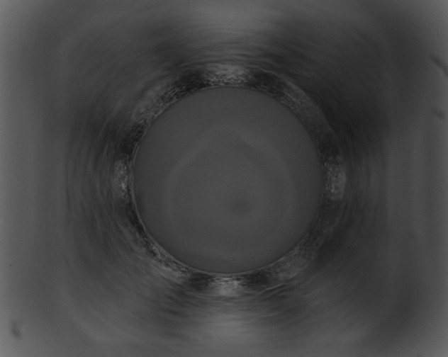 X0000101450701200807141244