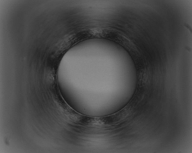 X0000101450702200807141244