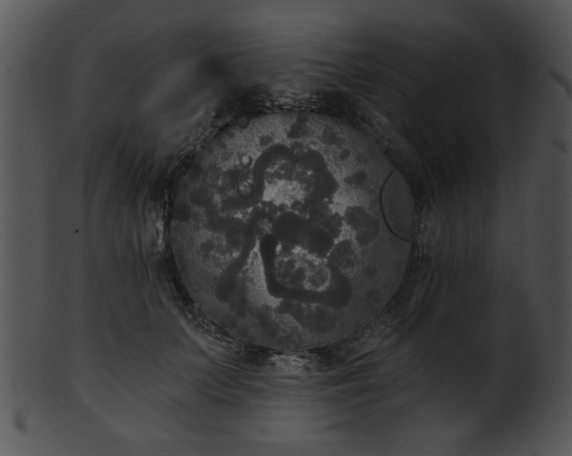 X0000101450703200807141244