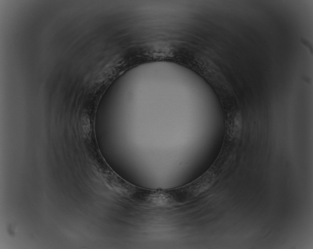 X0000101450704200807141244