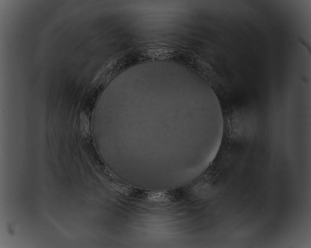 X0000101450705200807141244