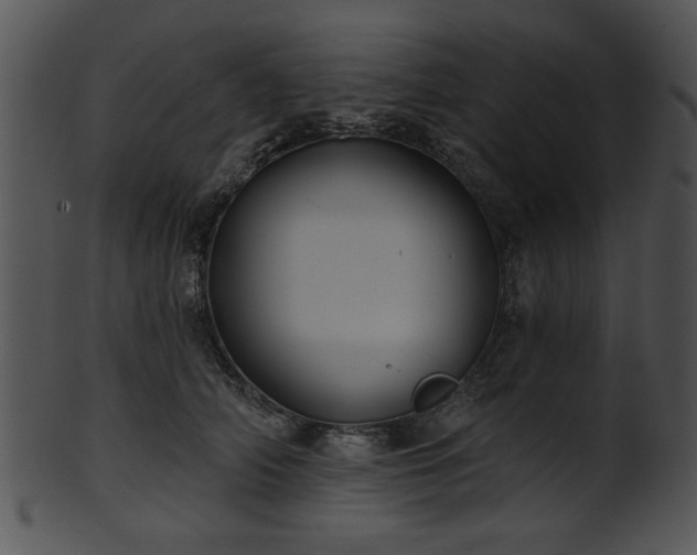 X0000101450706200807141244