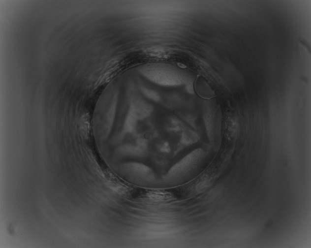 X0000101450707200807141244