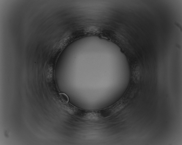 X0000101450708200807141244