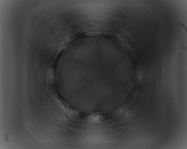 X0000101450711200807141244