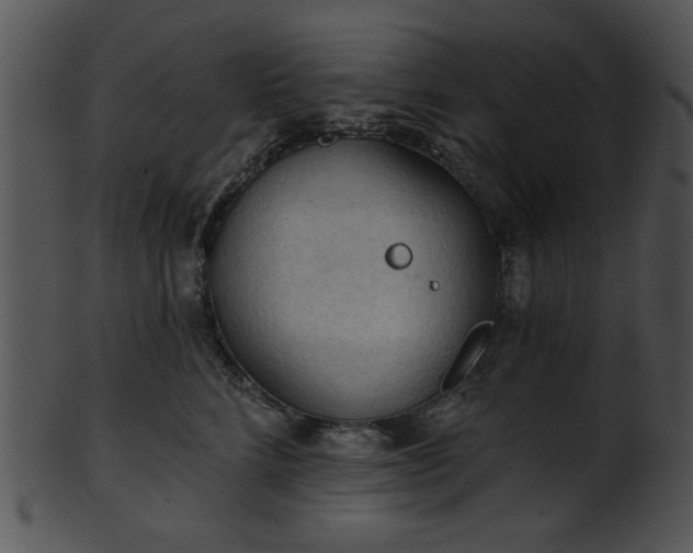 X0000101450712200807141244