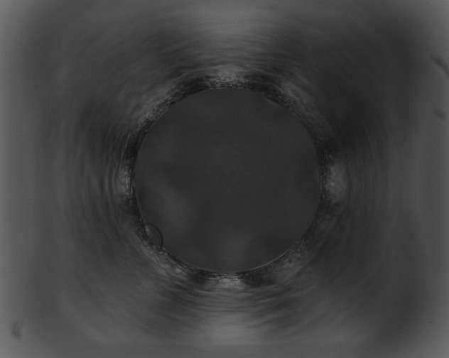 X0000101450715200807141244